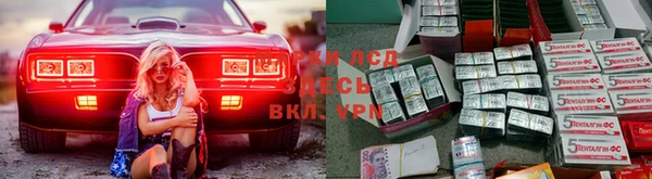 индика Гусиноозёрск