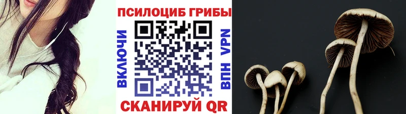 Галлюциногенные грибы MAGIC MUSHROOMS  Емва 